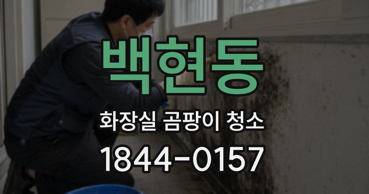 백현동 화장실 곰팡이 청소
