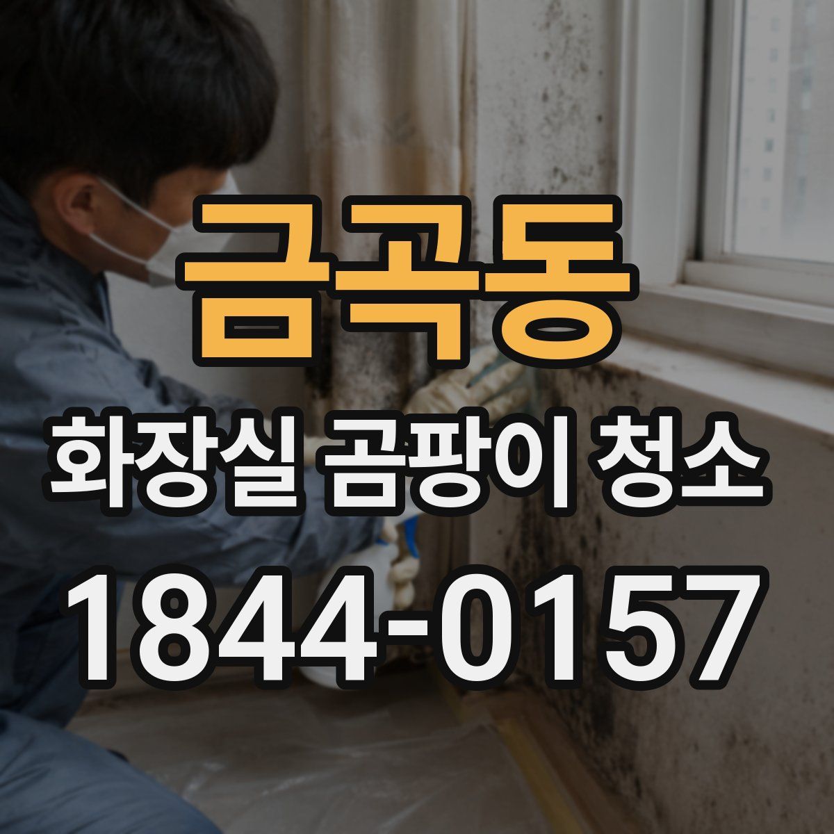 금곡동 화장실 곰팡이 청소