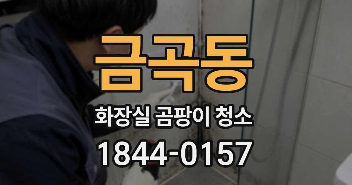 금곡동 화장실 곰팡이 청소