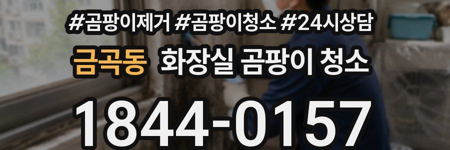 금곡동 화장실 곰팡이 청소