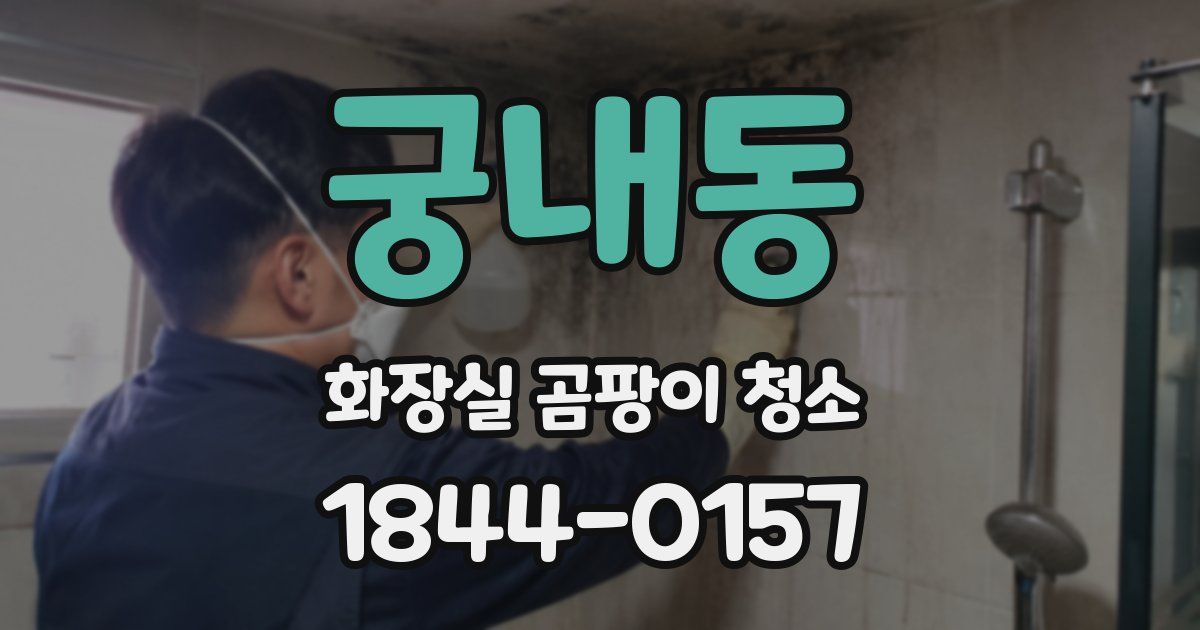 궁내동 화장실 곰팡이 청소
