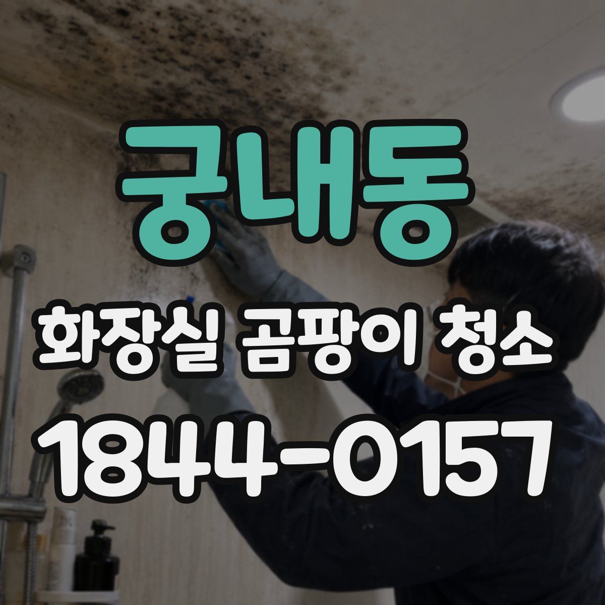 궁내동 화장실 곰팡이 청소