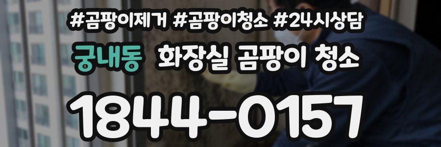 궁내동 화장실 곰팡이 청소