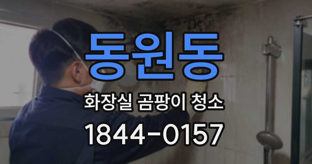 동원동 화장실 곰팡이 청소
