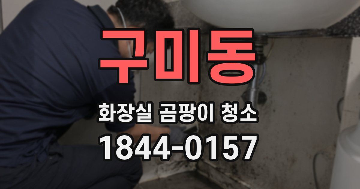구미동 화장실 곰팡이 청소