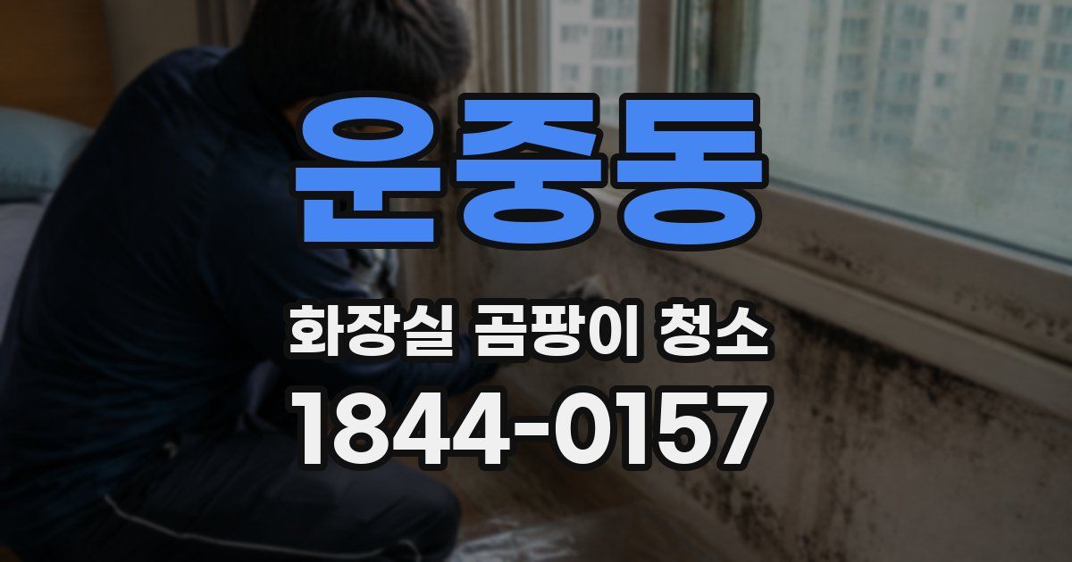 운중동 화장실 곰팡이 청소