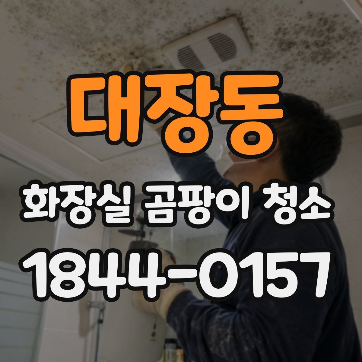 대장동 화장실 곰팡이 청소 배관 주변 번식 구간 점검 포인트
