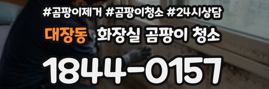 대장동 화장실 곰팡이 청소