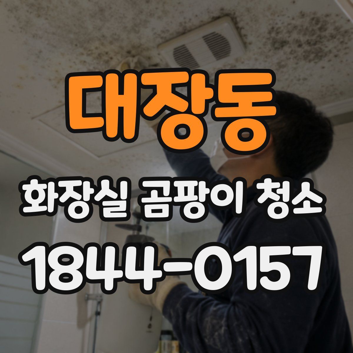 대장동 화장실 곰팡이 청소