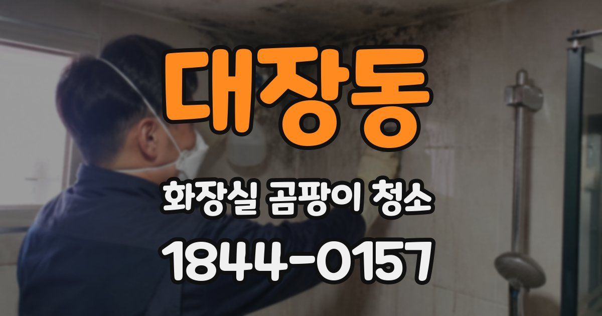 대장동 화장실 곰팡이 청소