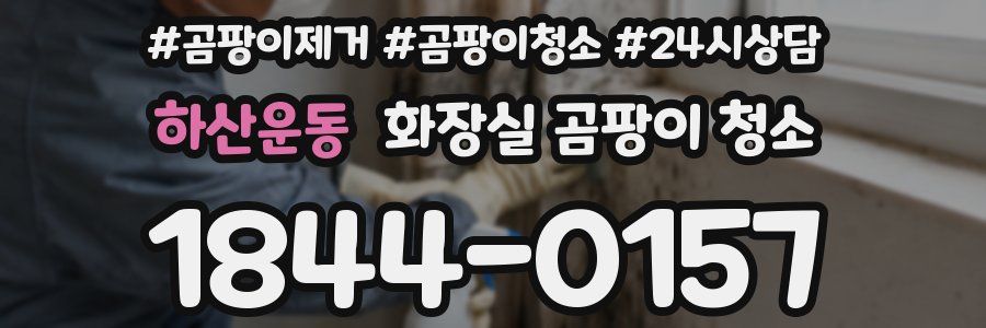 하산운동 화장실 곰팡이 청소
