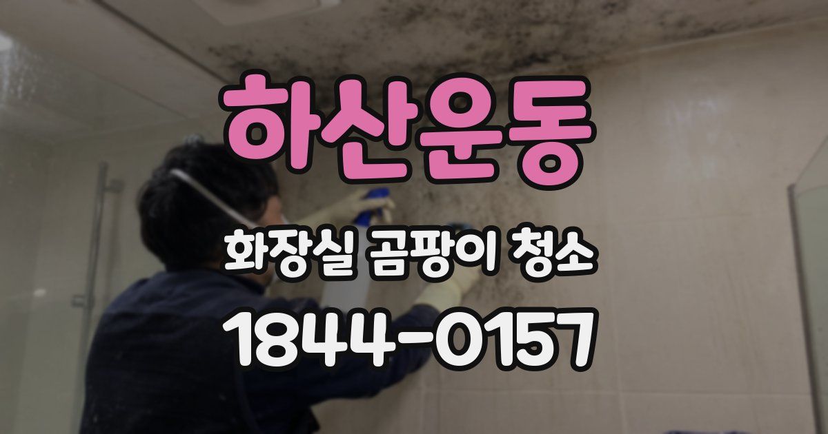 하산운동 화장실 곰팡이 청소