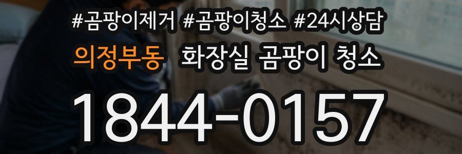 의정부동 화장실 곰팡이 청소