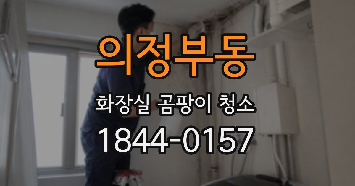 의정부동 화장실 곰팡이 청소