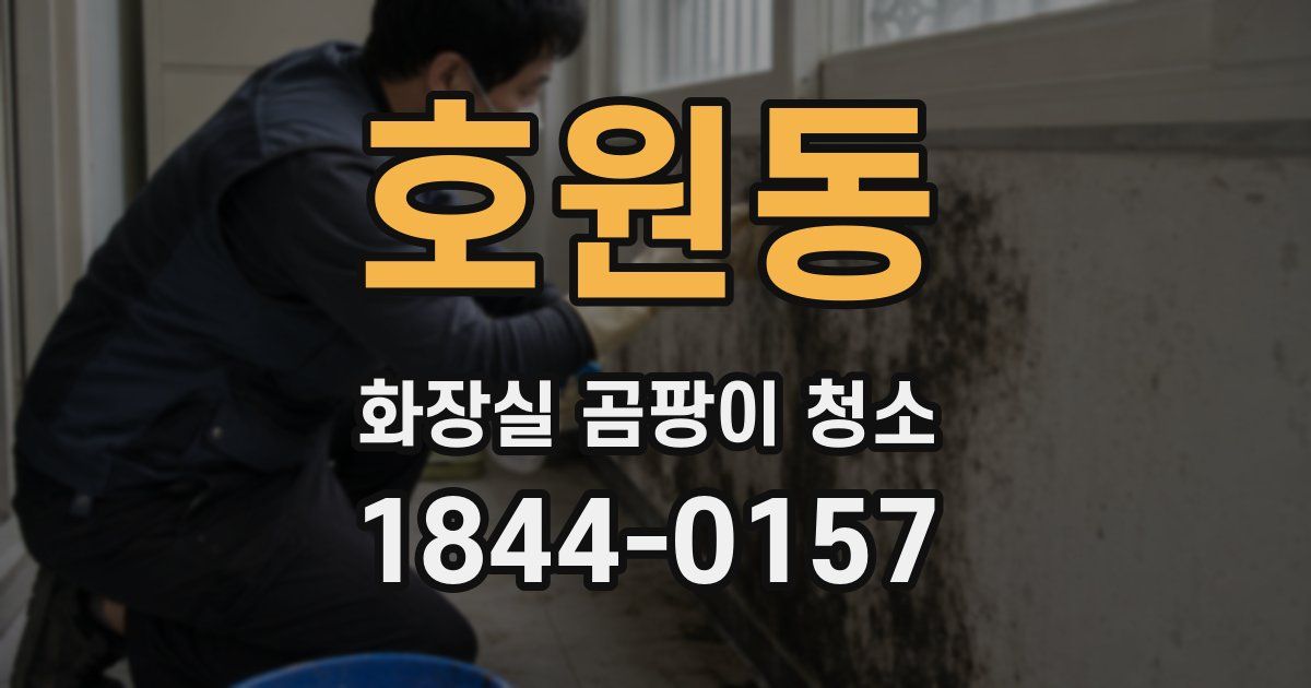 호원동 화장실 곰팡이 청소