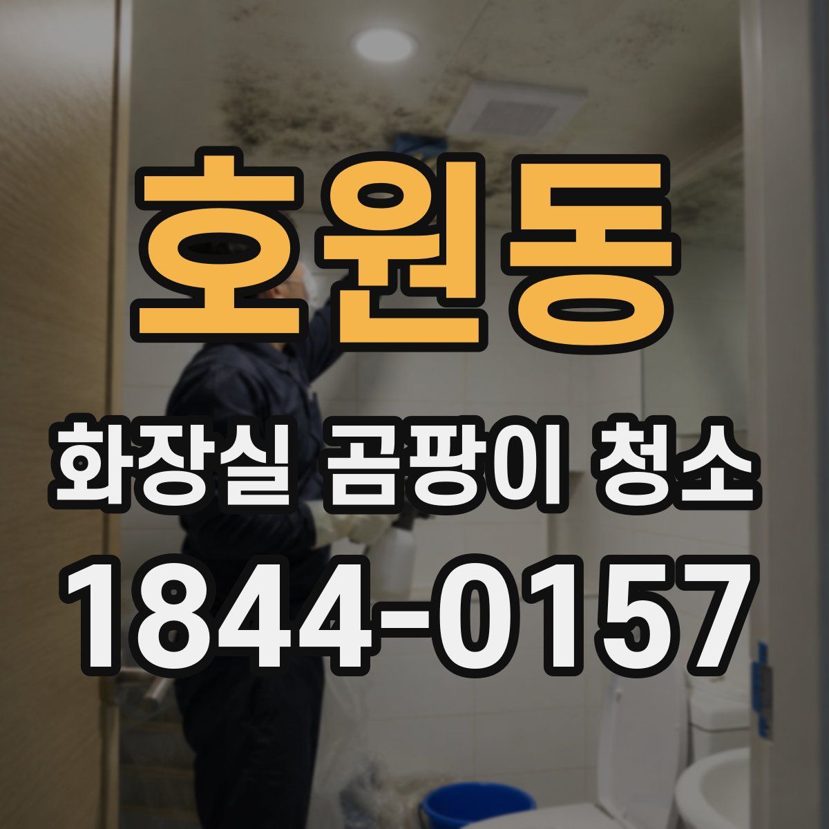 호원동 화장실 곰팡이 청소