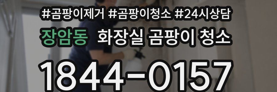 장암동 화장실 곰팡이 청소