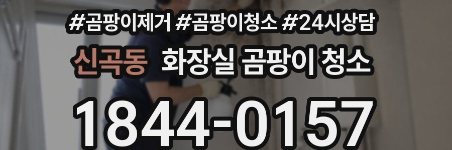 신곡동 화장실 곰팡이 청소