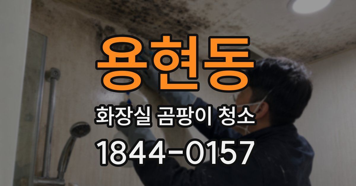 용현동 화장실 곰팡이 청소
