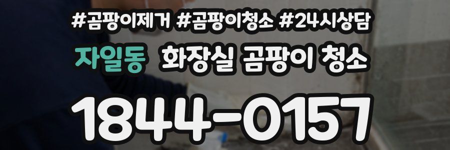 자일동 화장실 곰팡이 청소