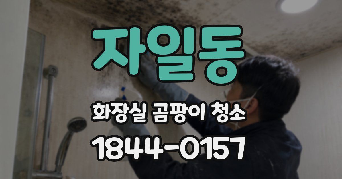 자일동 화장실 곰팡이 청소