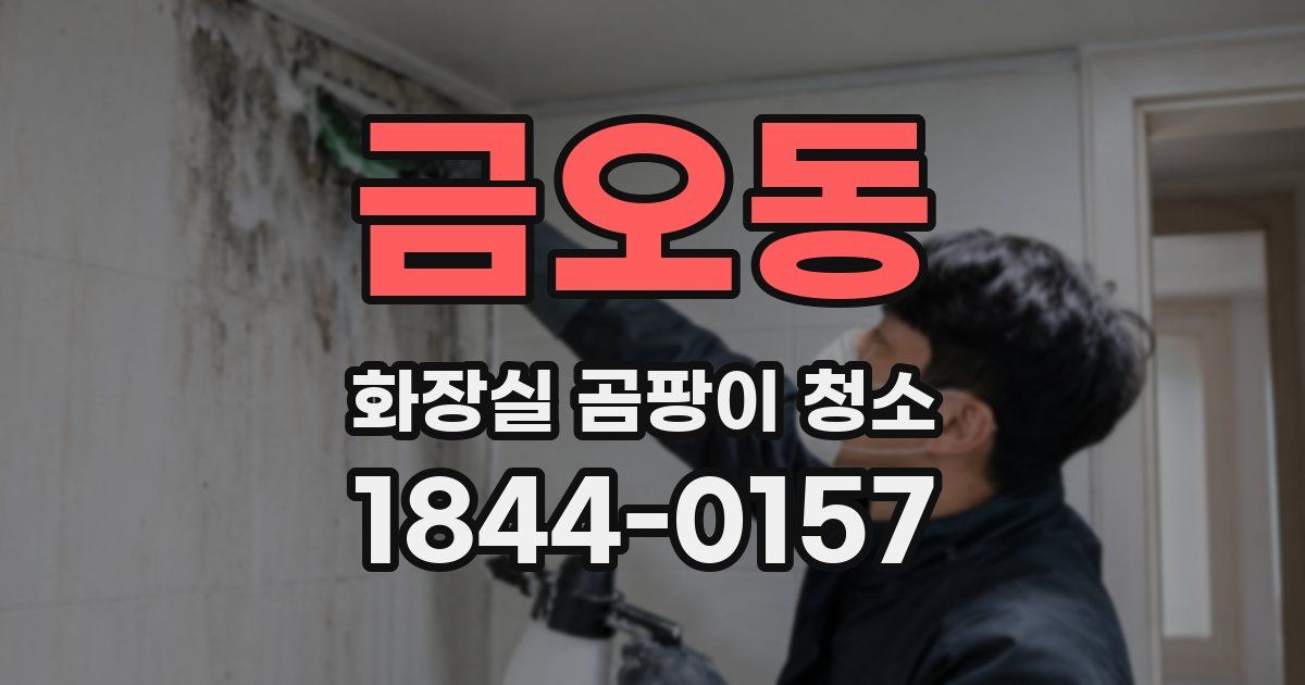 금오동 화장실 곰팡이 청소