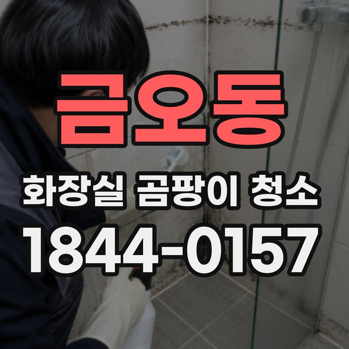 금오동 화장실 곰팡이 청소