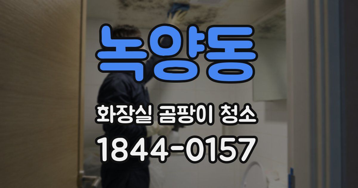 녹양동 화장실 곰팡이 청소