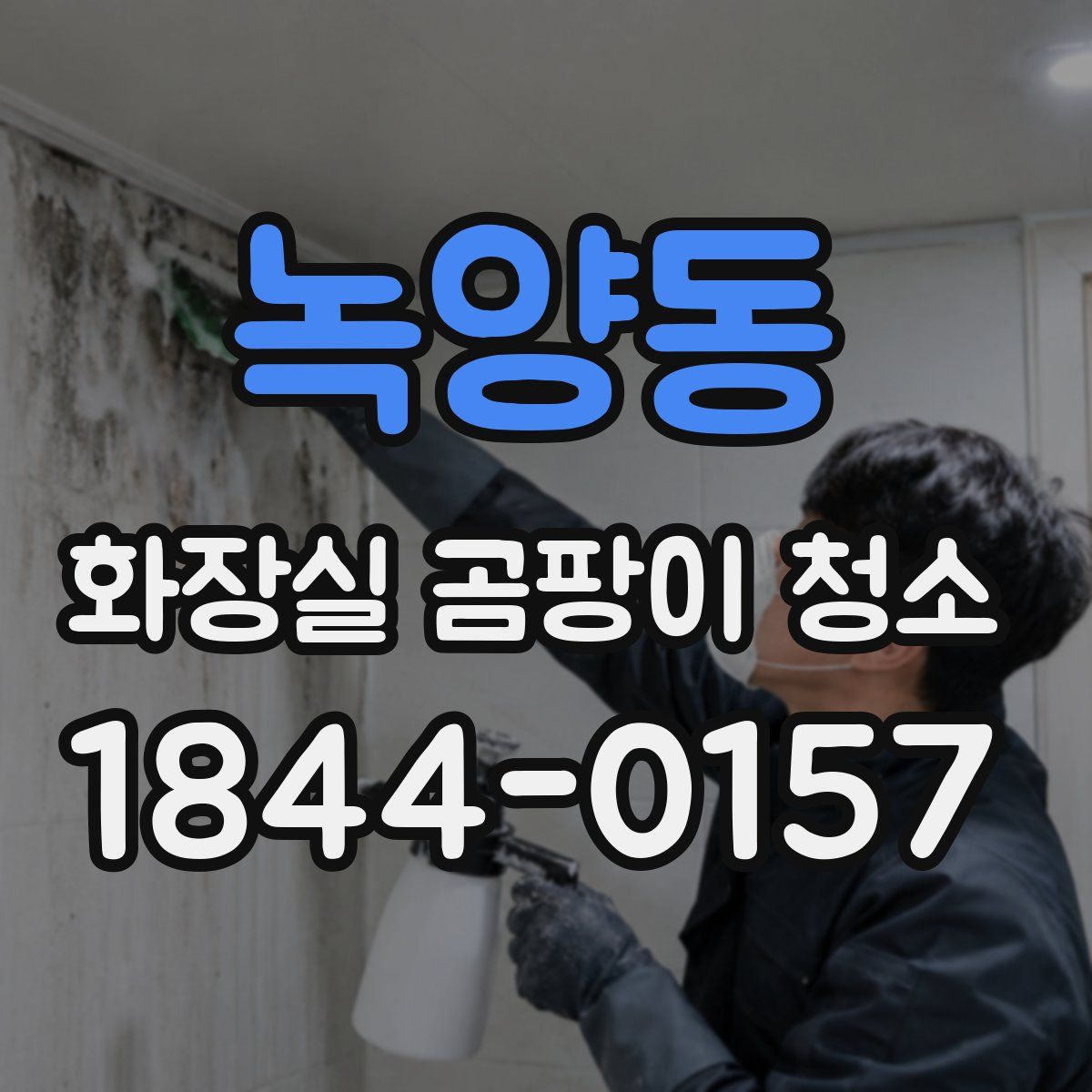 녹양동 화장실 곰팡이 청소