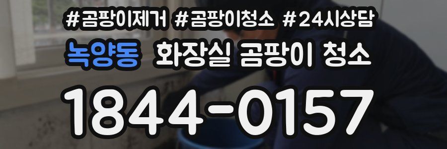 녹양동 화장실 곰팡이 청소