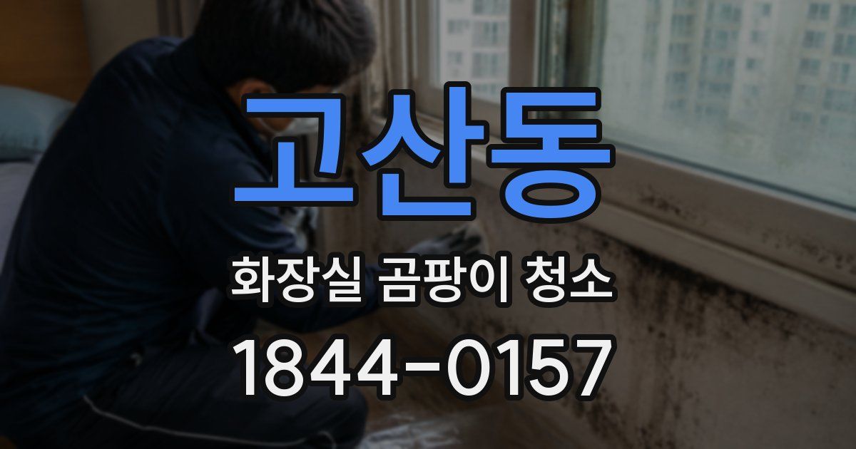 고산동 화장실 곰팡이 청소