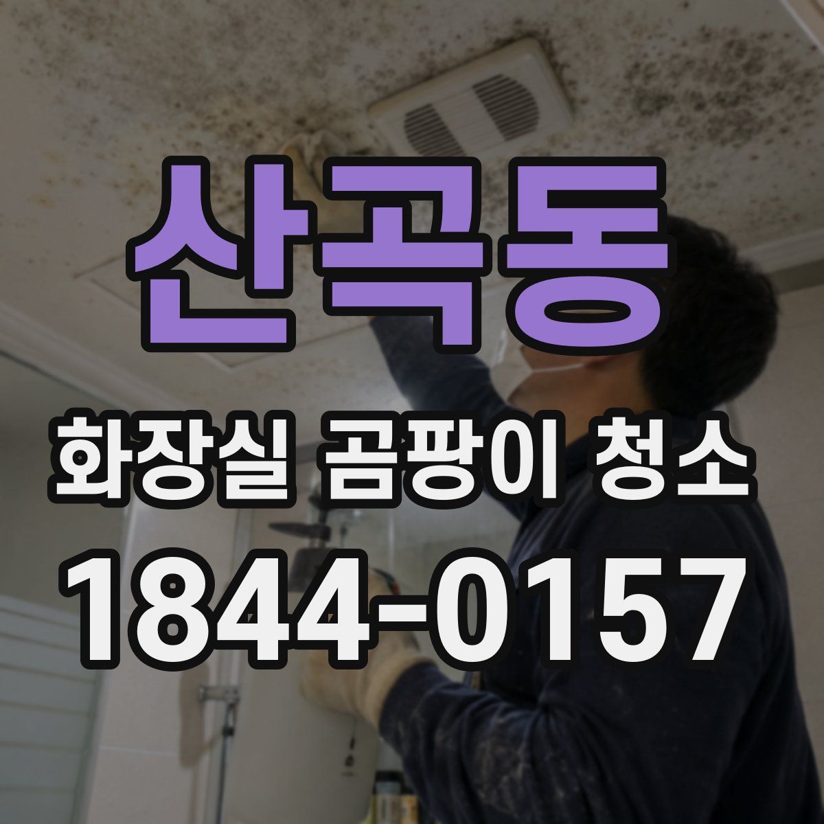 산곡동 화장실 곰팡이 청소