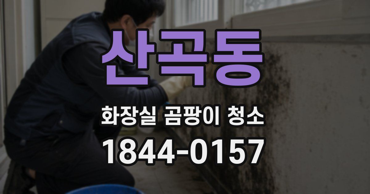 산곡동 화장실 곰팡이 청소