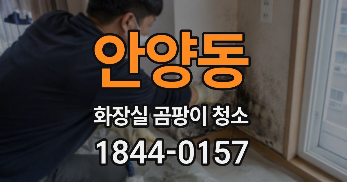 안양동 화장실 곰팡이 청소