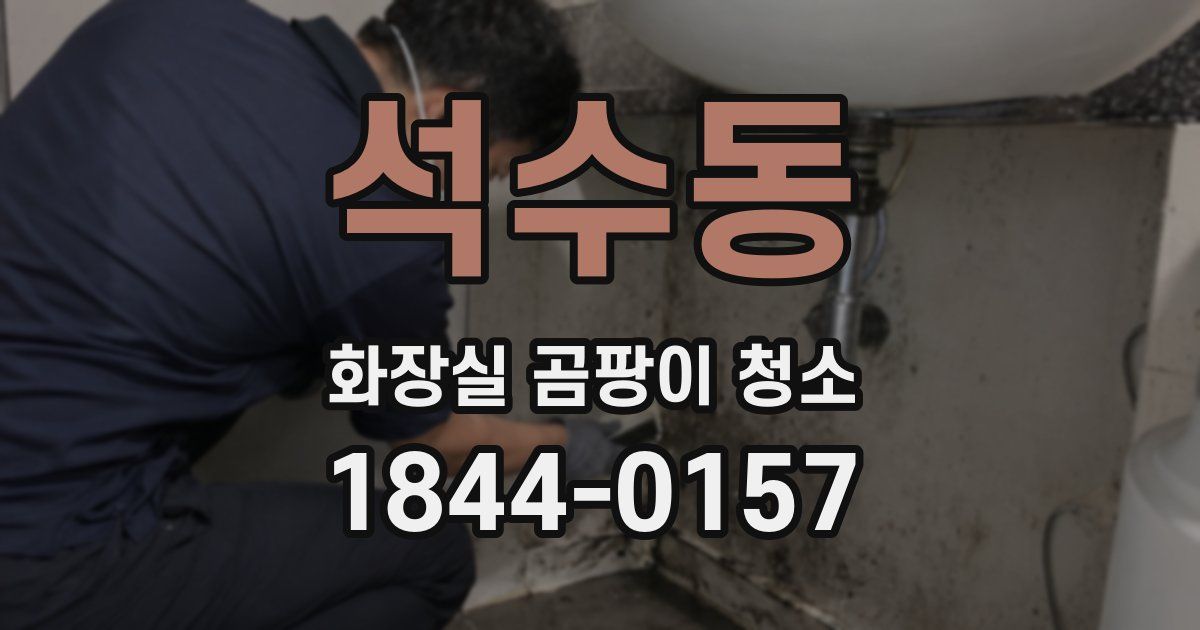 석수동 화장실 곰팡이 청소