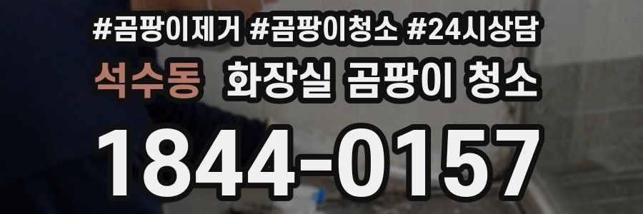 석수동 화장실 곰팡이 청소