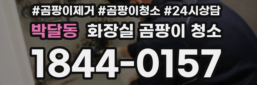 박달동 화장실 곰팡이 청소