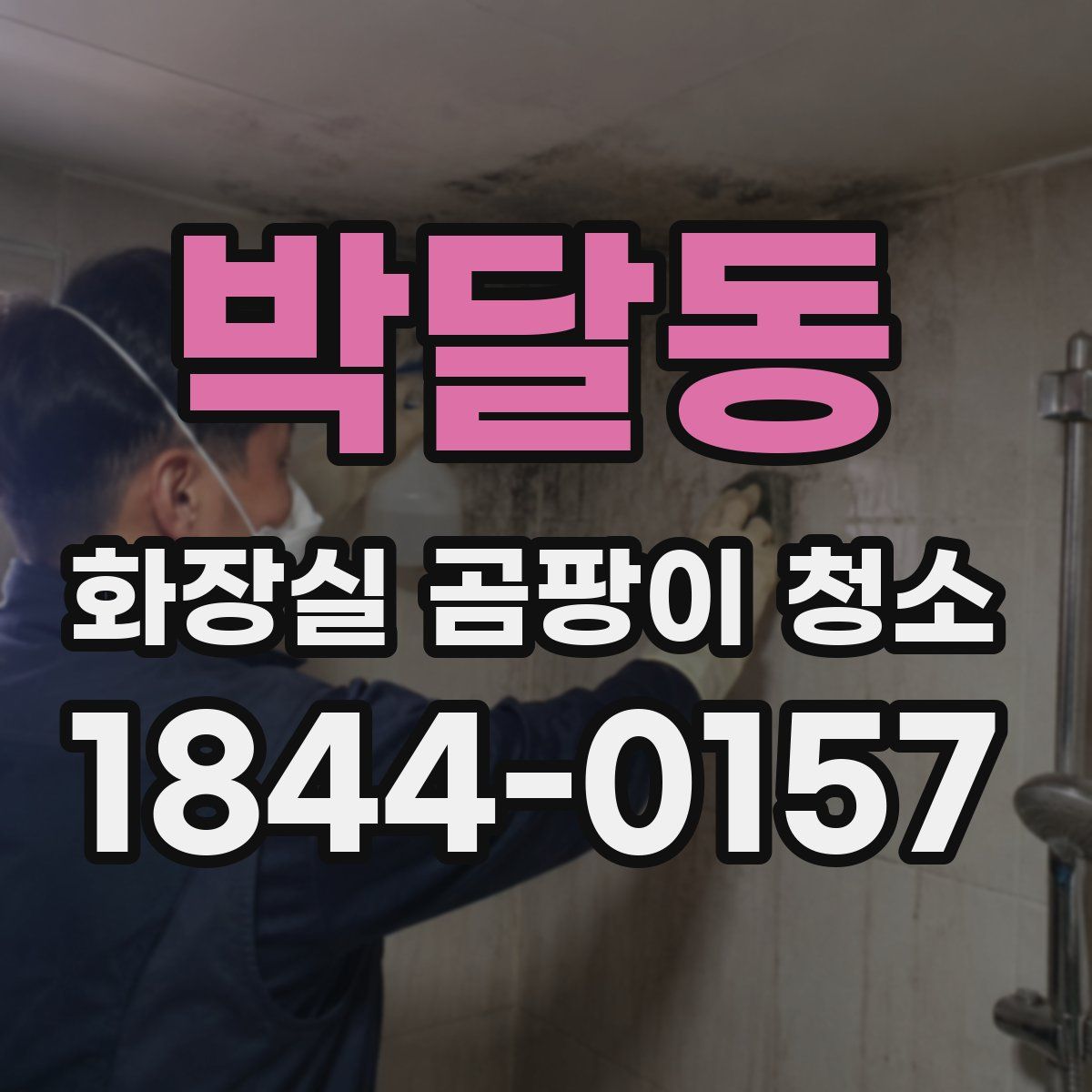 박달동 화장실 곰팡이 청소
