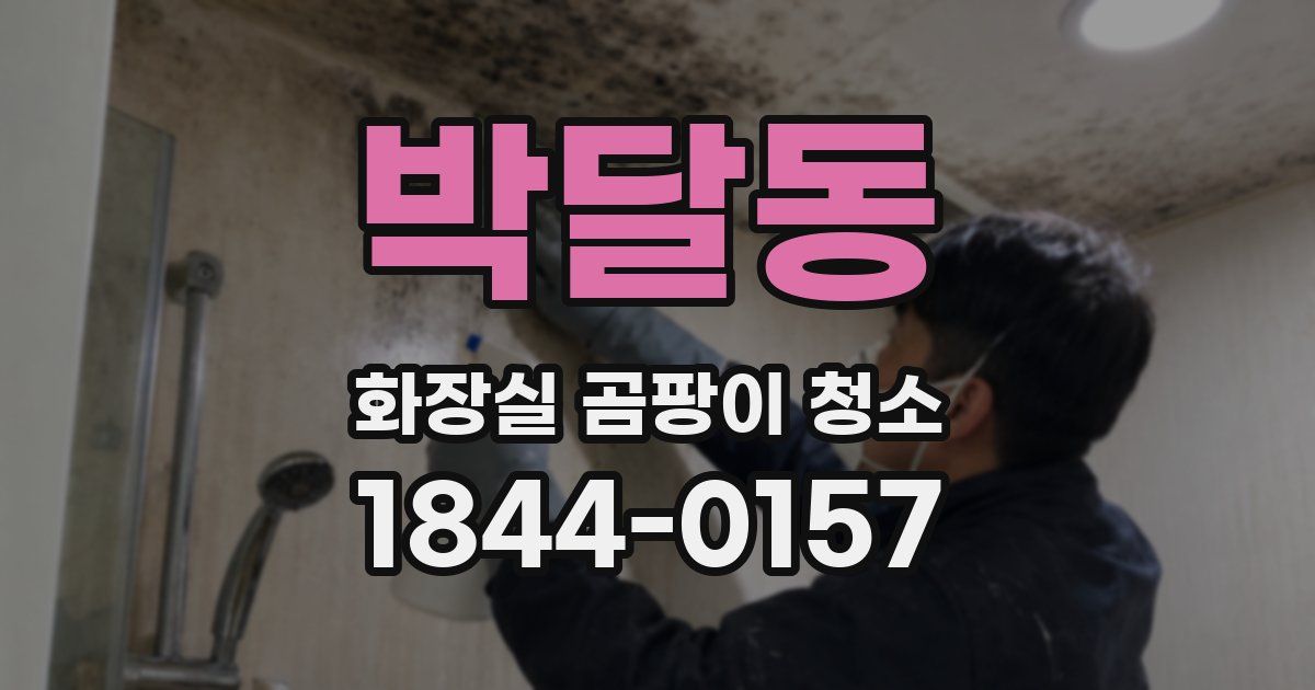 박달동 화장실 곰팡이 청소