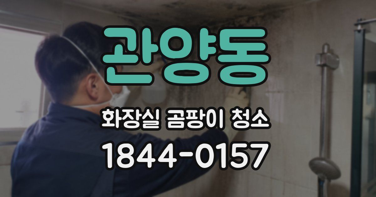 관양동 화장실 곰팡이 청소