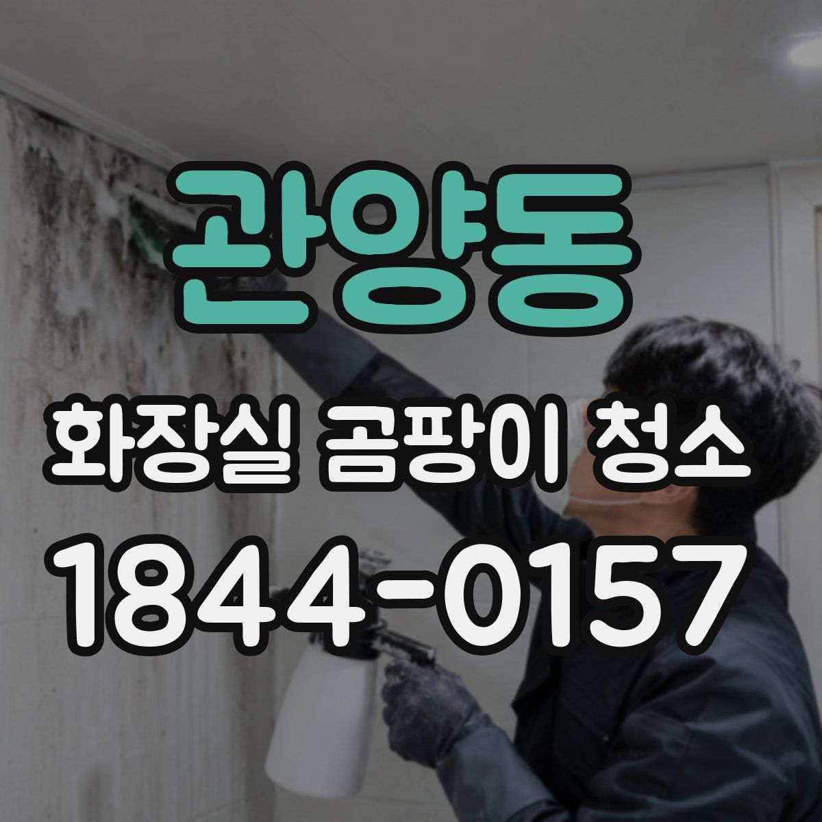 관양동 화장실 곰팡이 청소