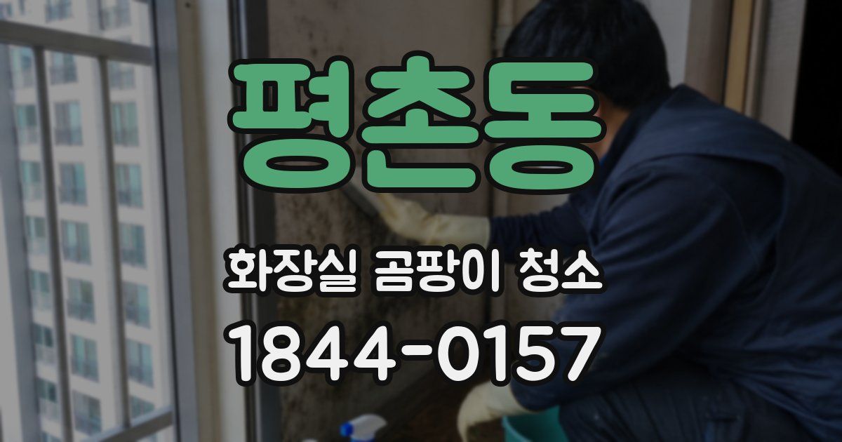 평촌동 화장실 곰팡이 청소