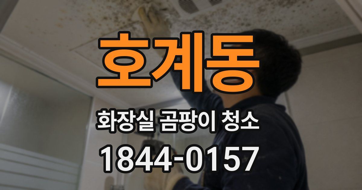 호계동 화장실 곰팡이 청소