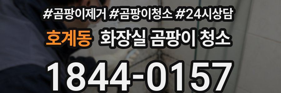 호계동 화장실 곰팡이 청소