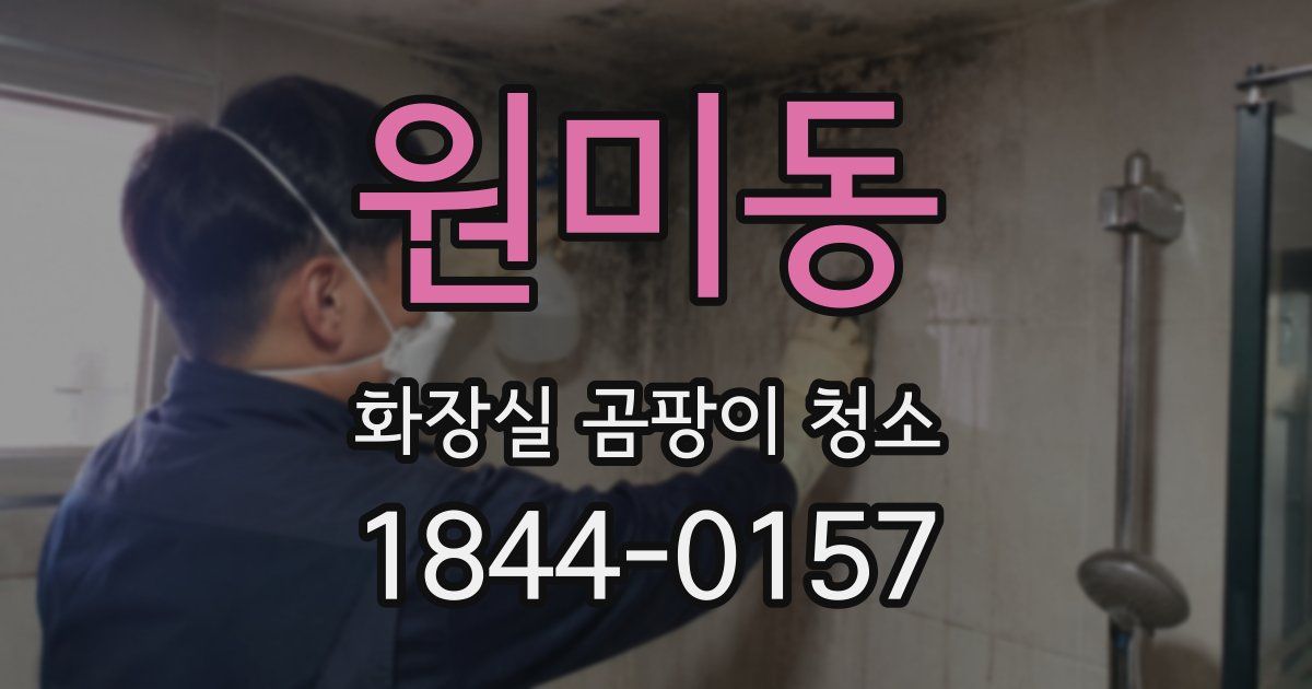 원미동 화장실 곰팡이 청소