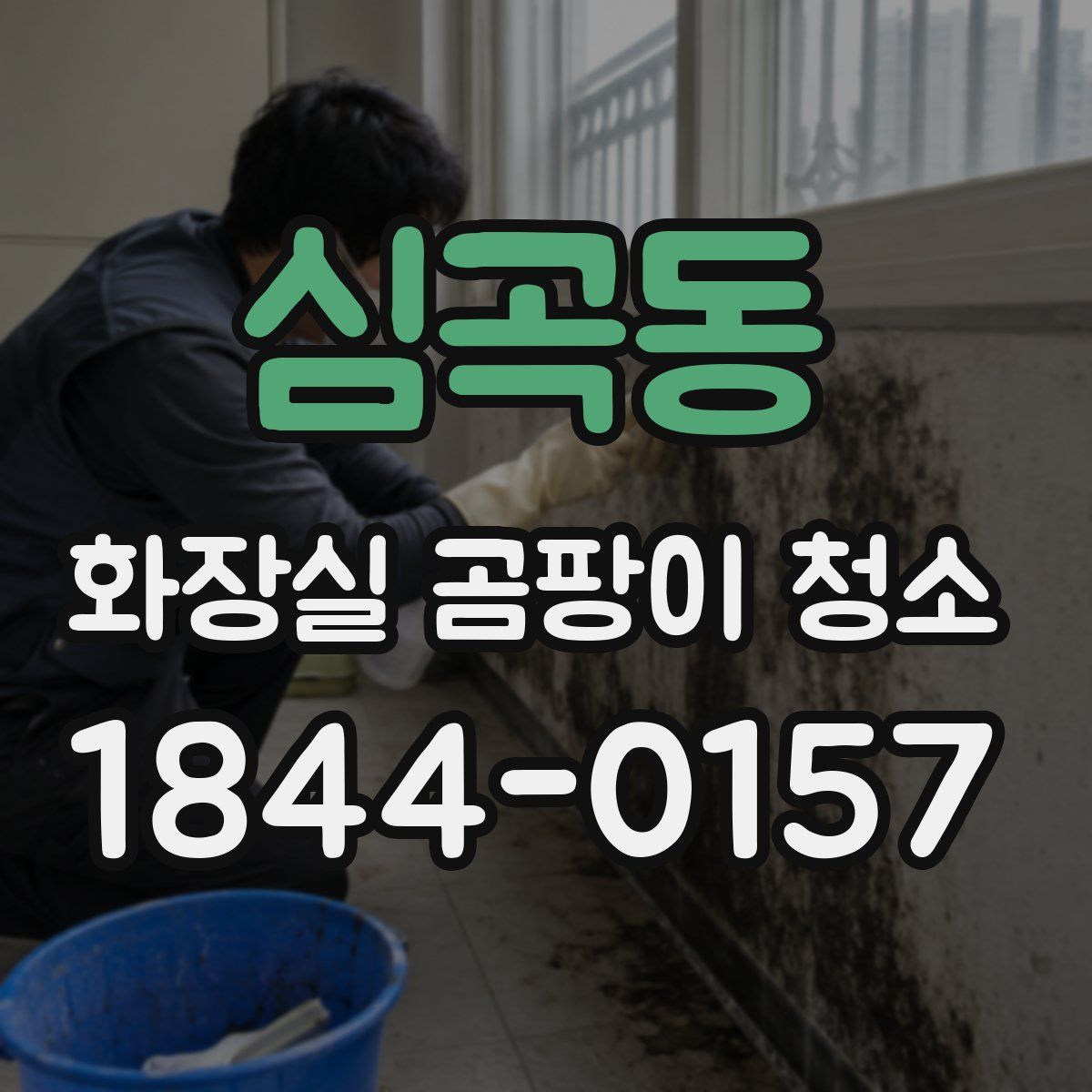 심곡동 화장실 곰팡이 청소
