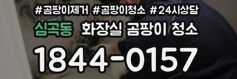 심곡동 화장실 곰팡이 청소