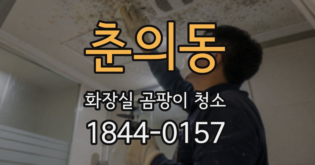춘의동 화장실 곰팡이 청소