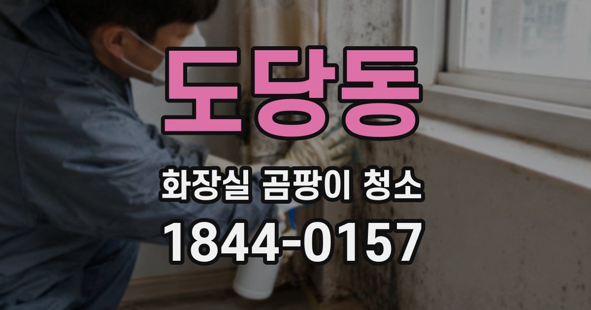 도당동 화장실 곰팡이 청소