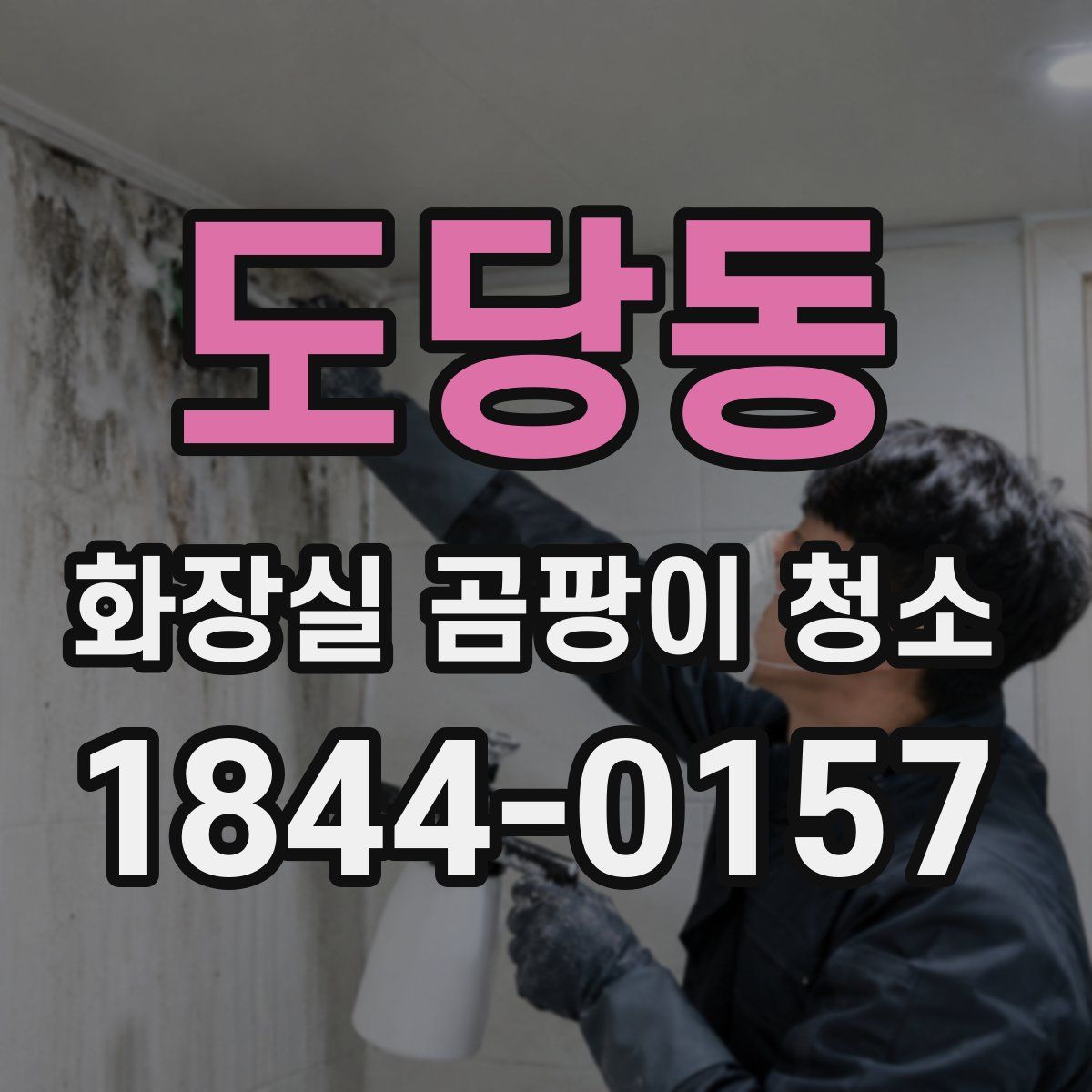 도당동 화장실 곰팡이 청소